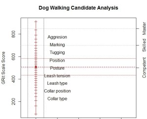 Dog walking scale (2)